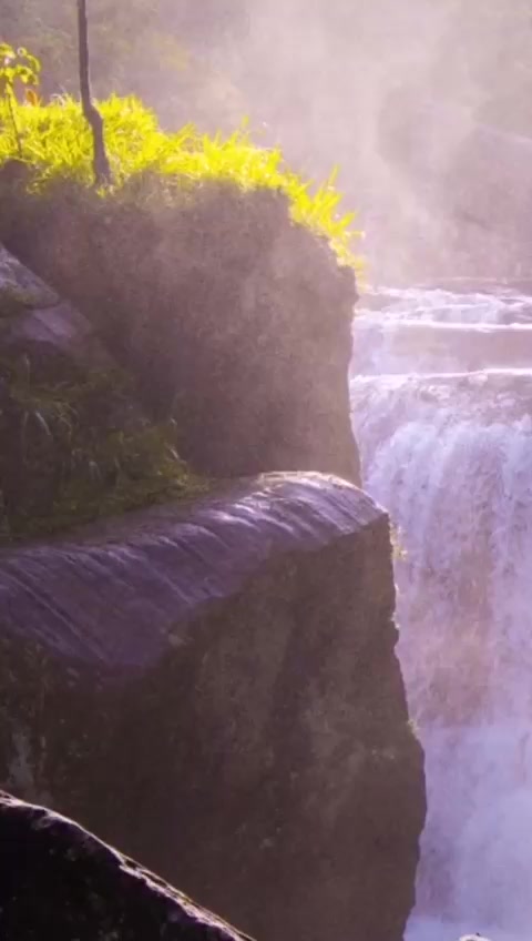 @sairakhan992