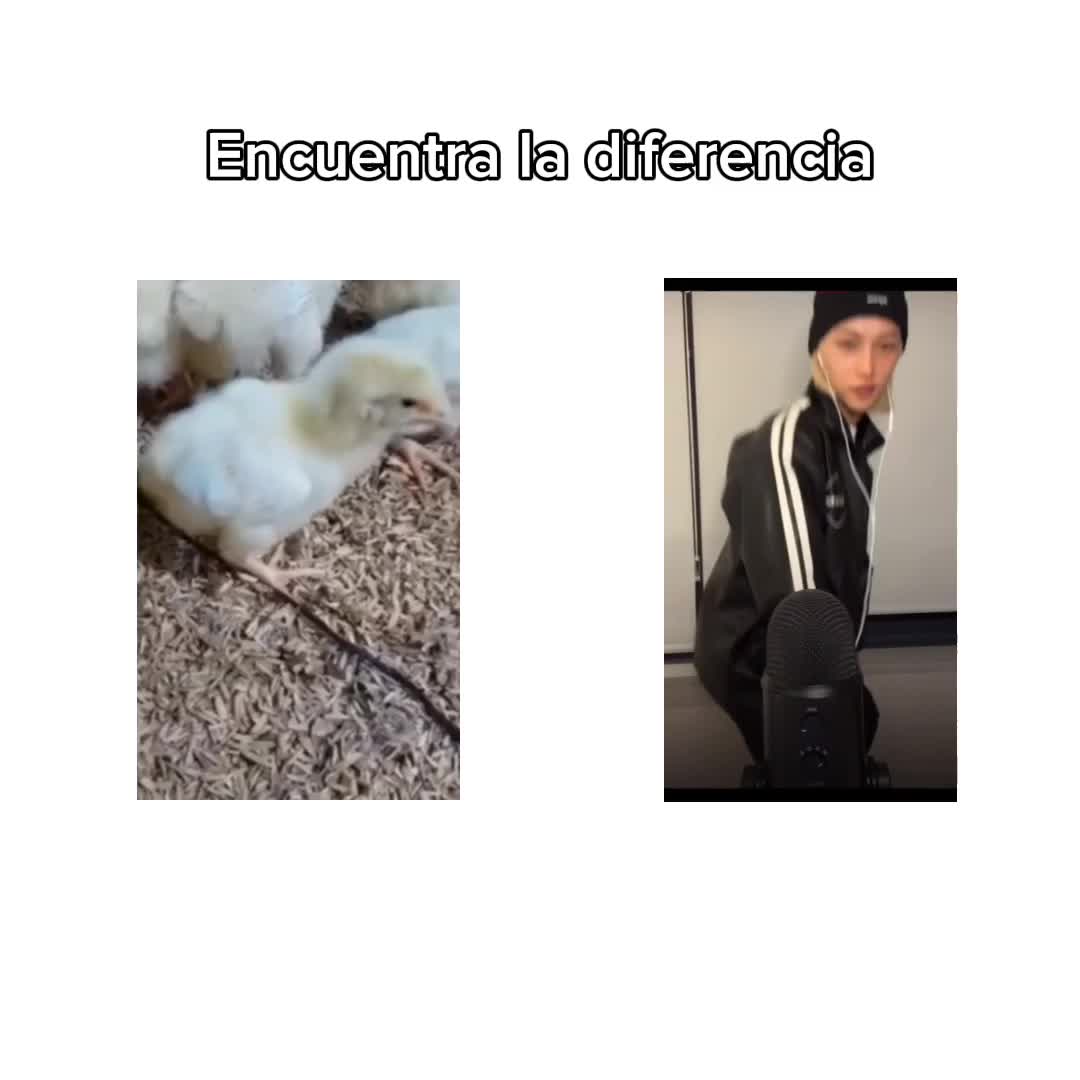 @🍮