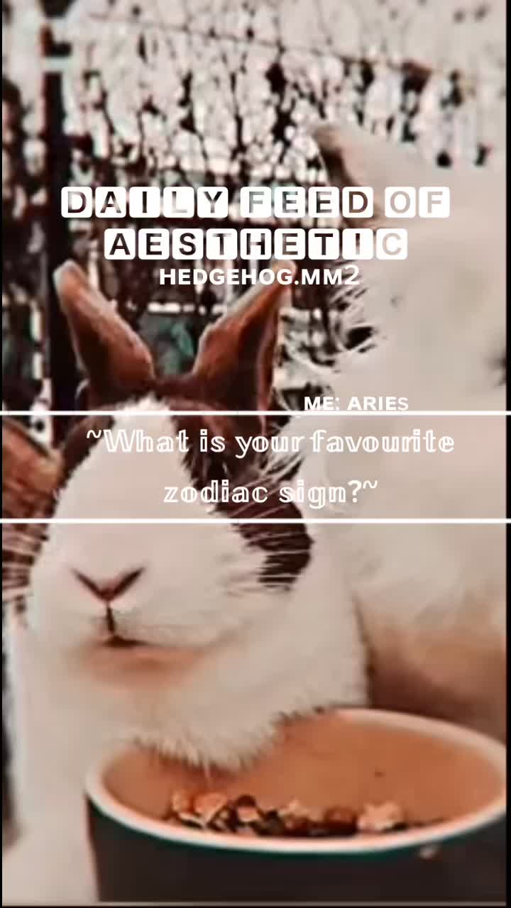 @hi!