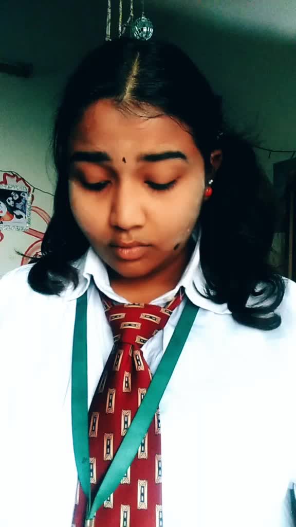 @🐼