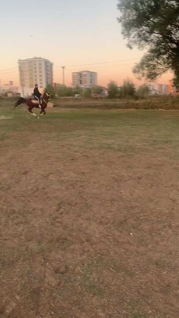 @Yusuf güler