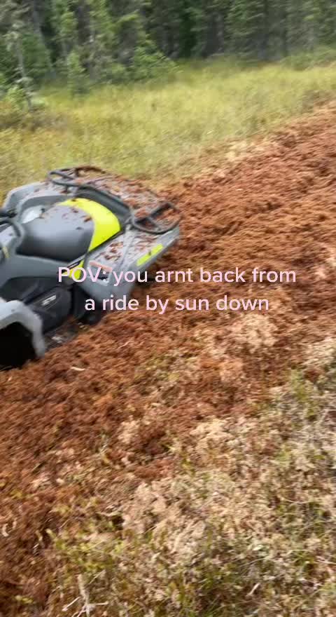 @Your yard guy 807
