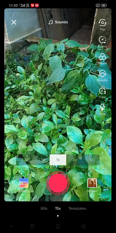 @murugavel