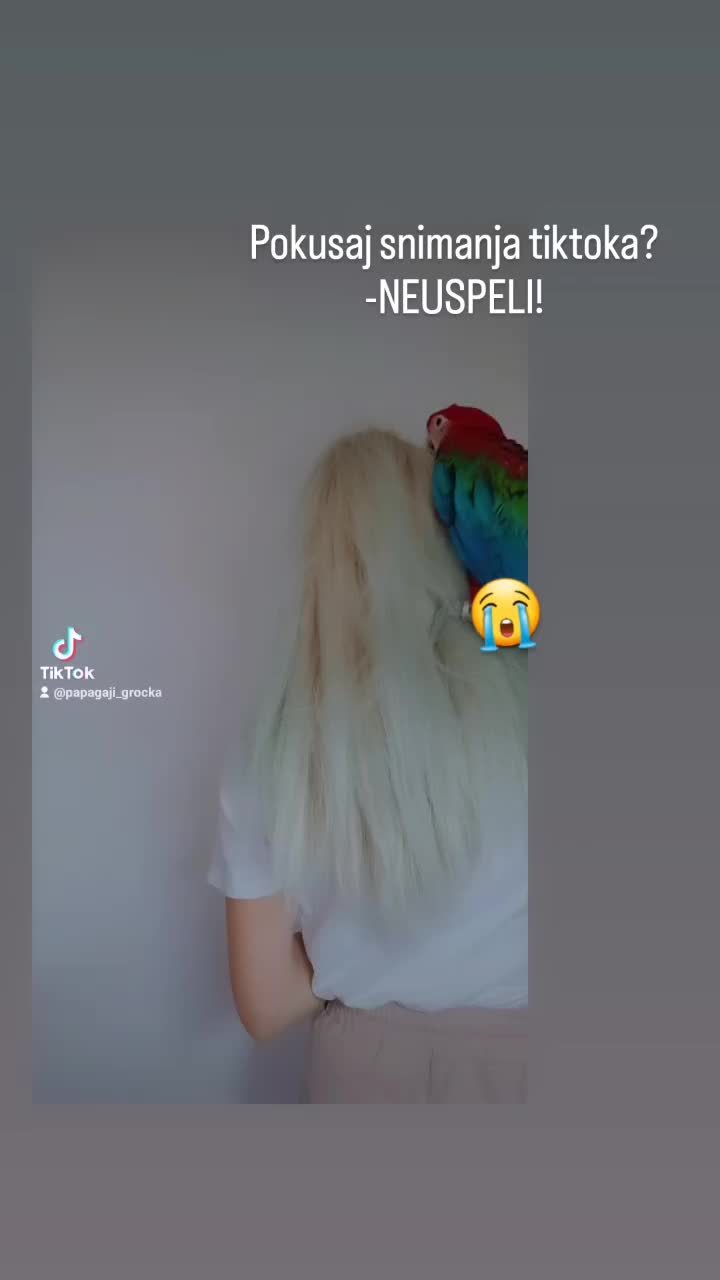 @Diksachioo