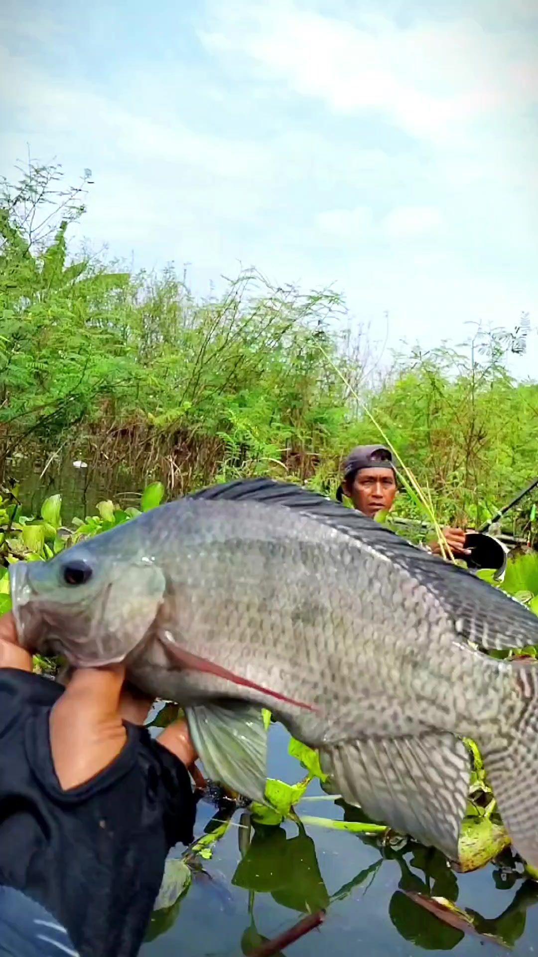 @MAFIA FISHING