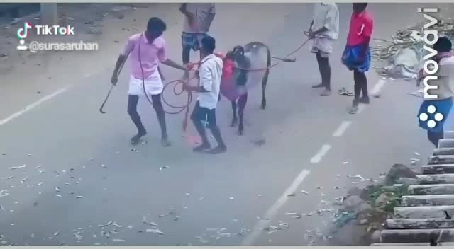 @S.saruhan