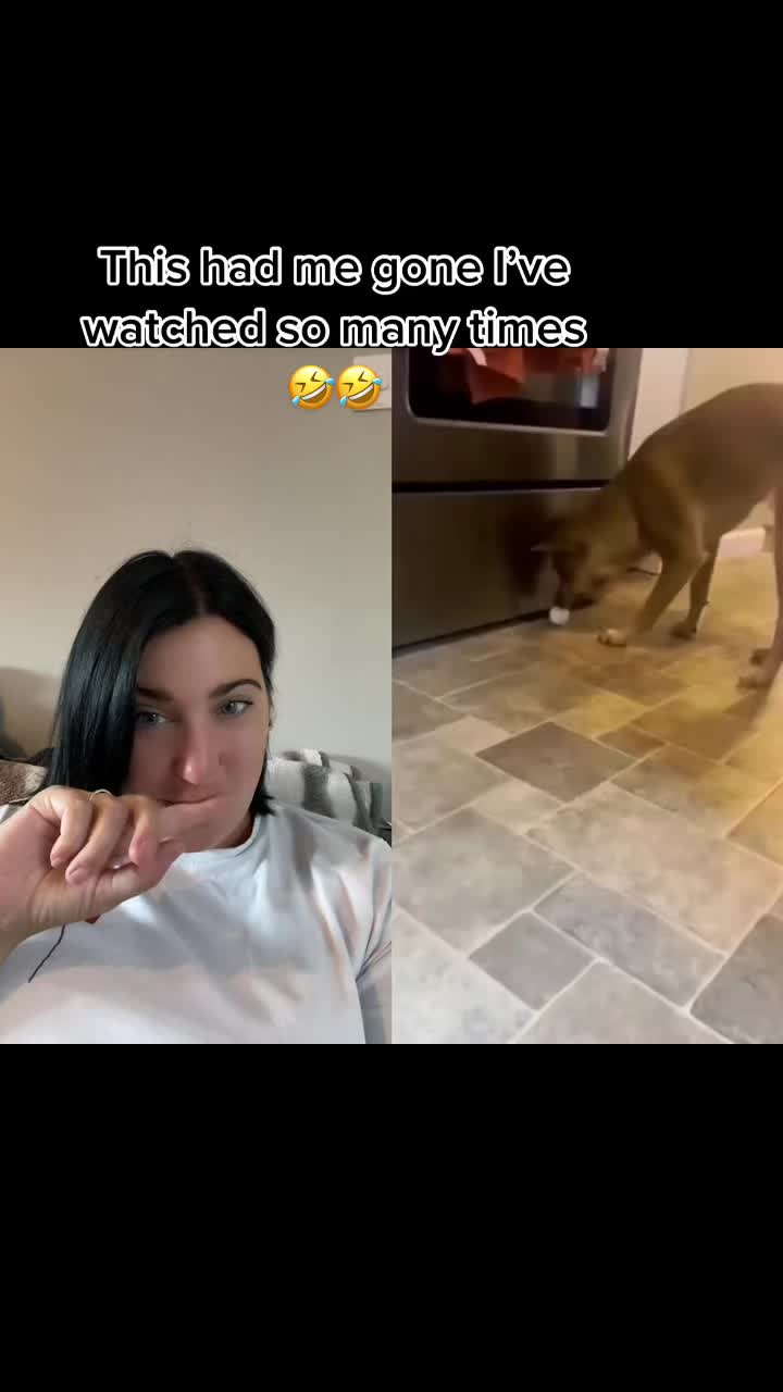 @elderemokaty