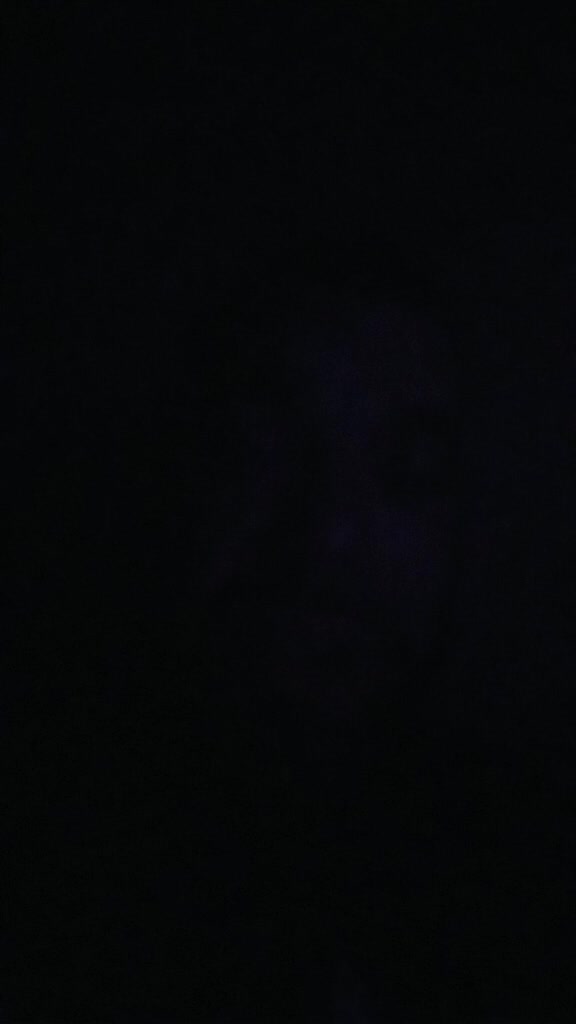 @carnageconductor