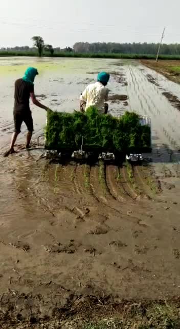 @user1044560050820