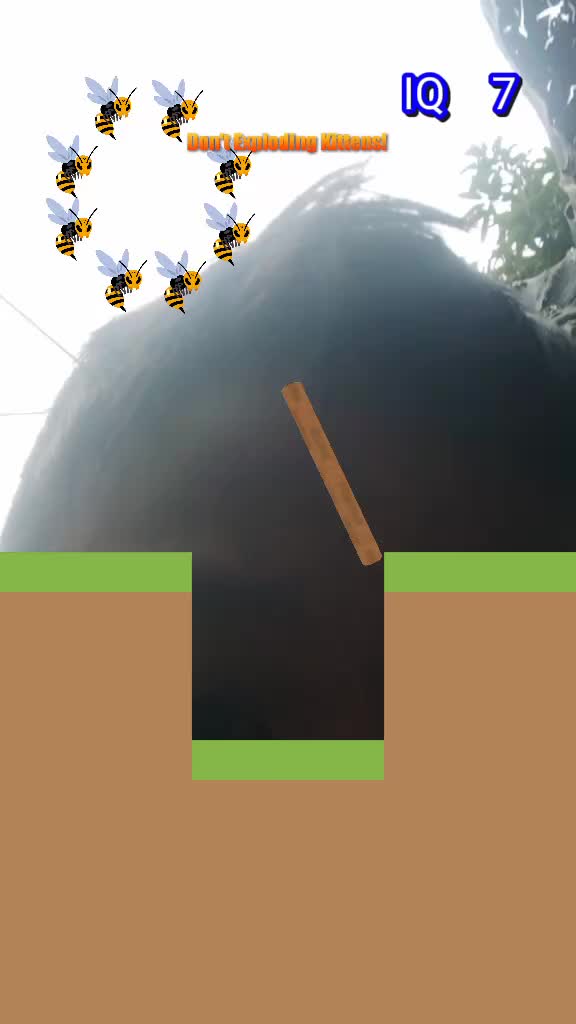 @christianfernande026