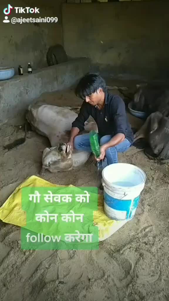 @sainiajeet390