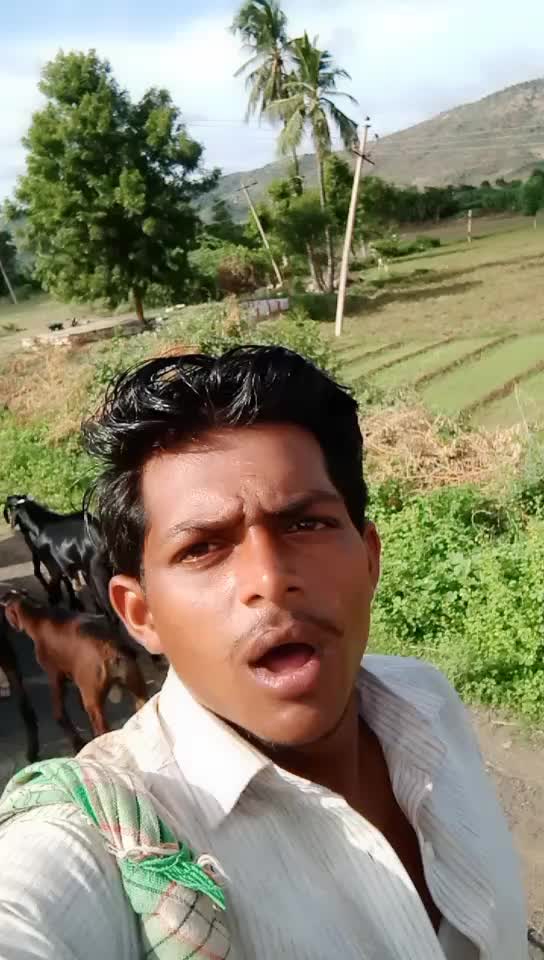 @Srikanth Reddy