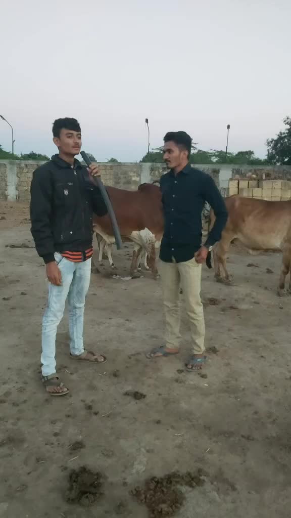 @Kavan Bhimani