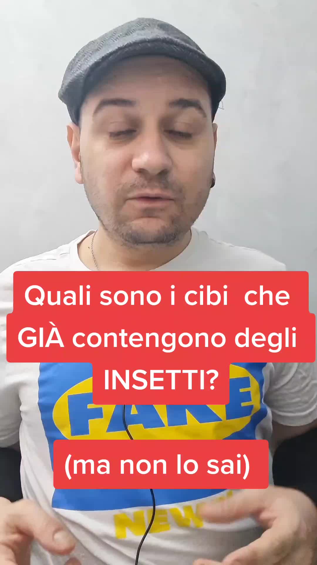 @RealVolpe 🦊
