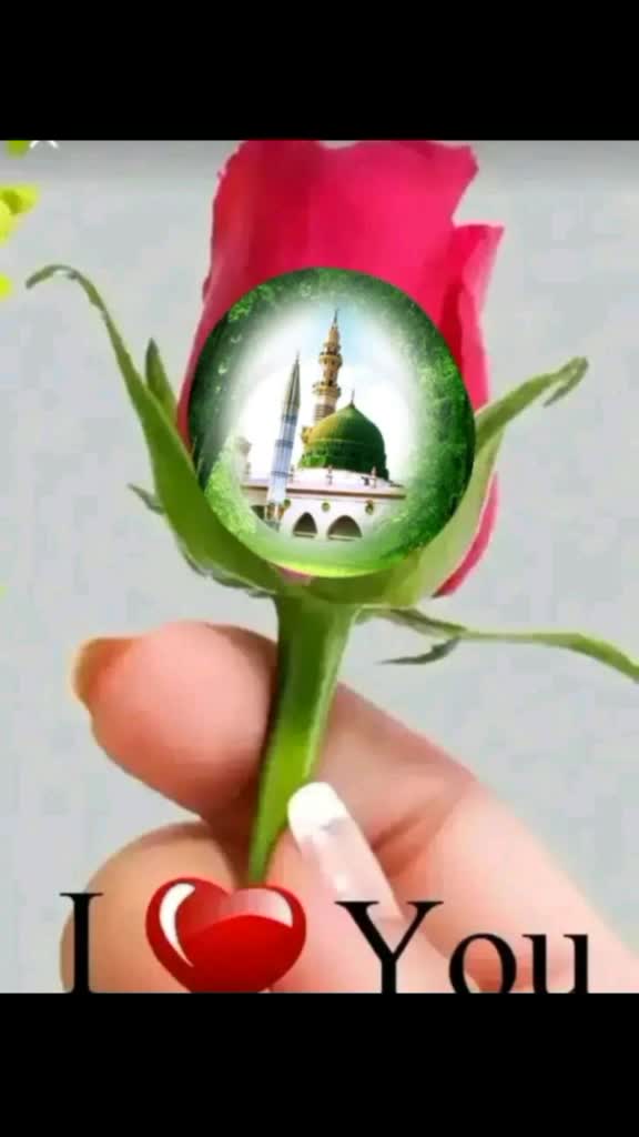 @Reeja Rahin