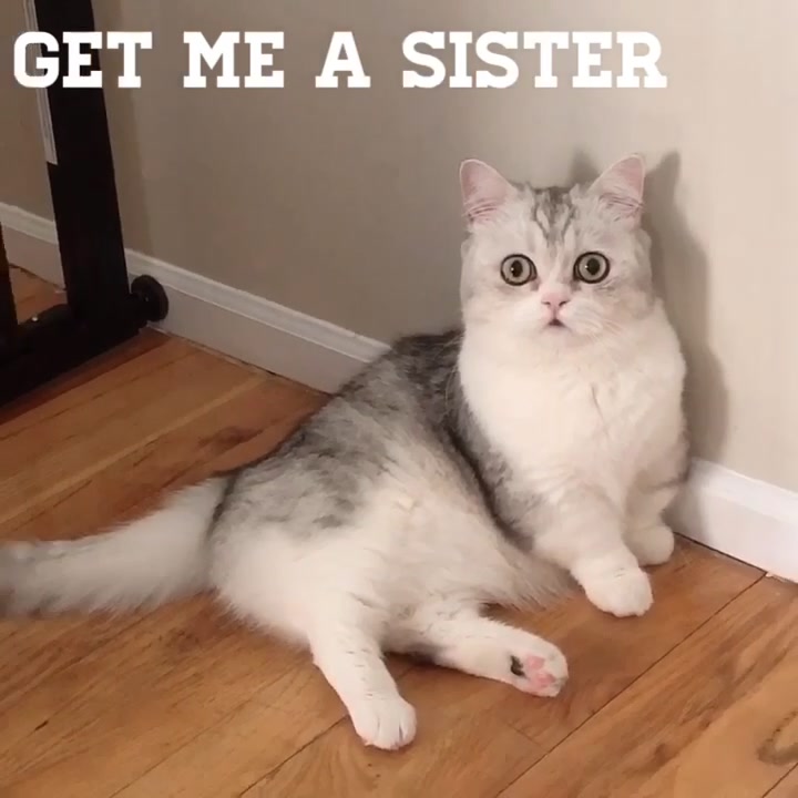 @Momo & Mimi