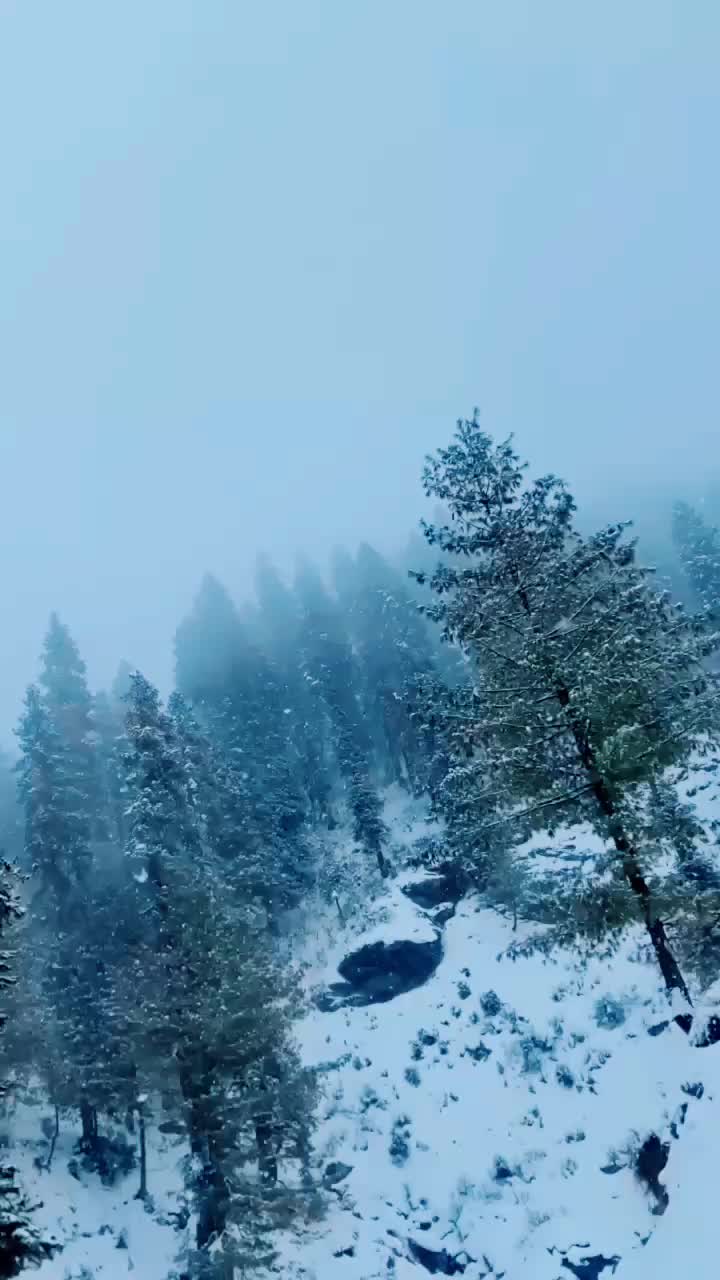 @فیصل خان