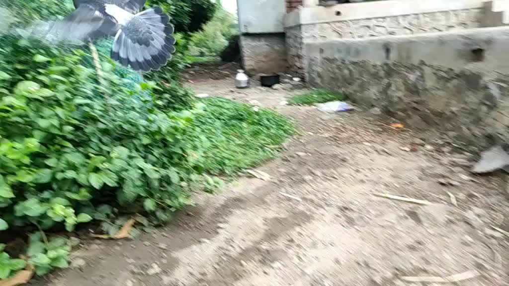 @Swapnil_Keskar