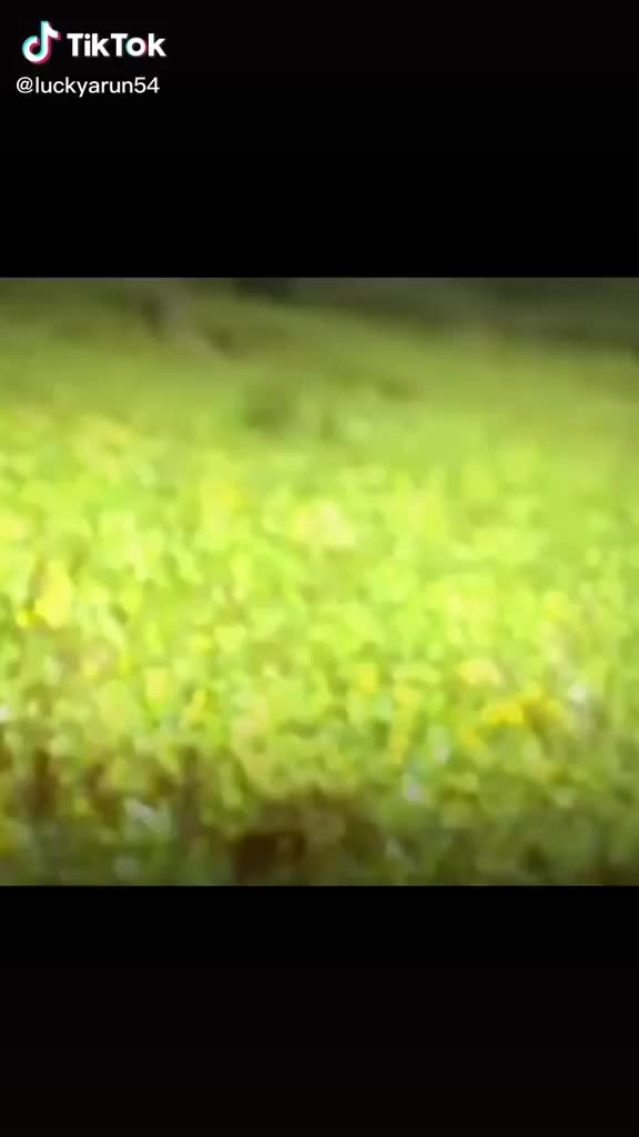 @RamyaReddy65