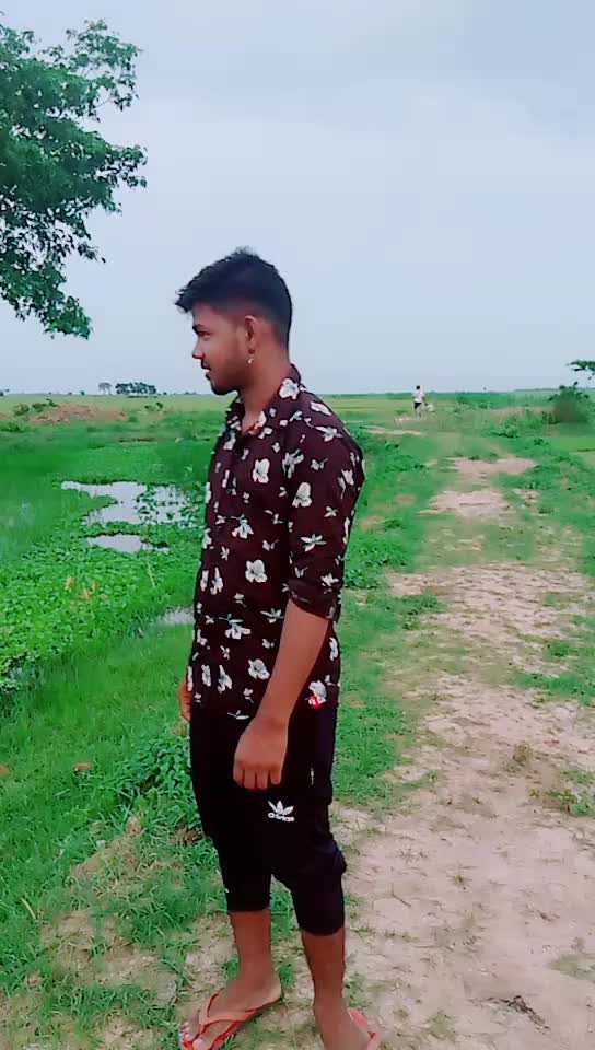 @Bapi 143
