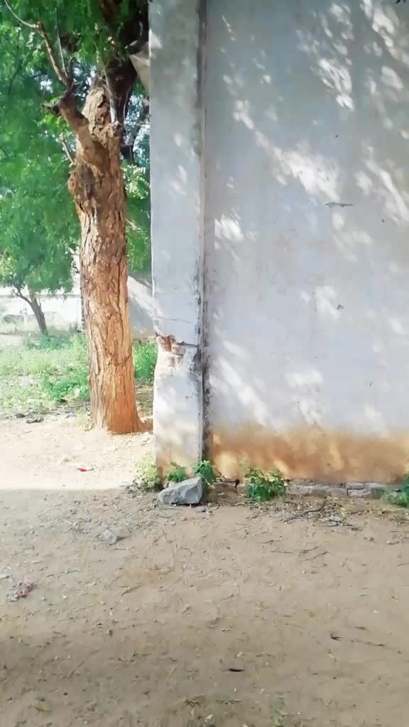 @NTRRajesh111