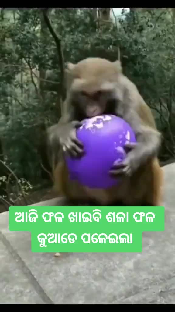 @😍HIMANSU😍