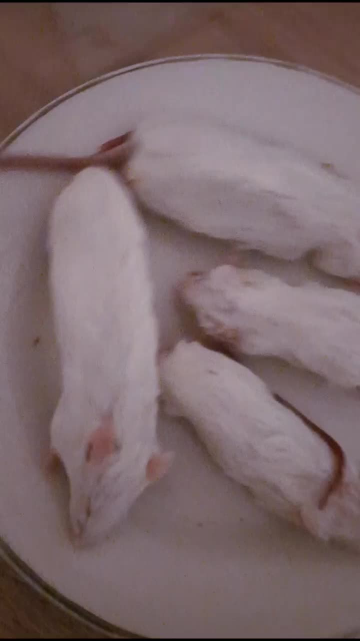 @FluffsterButt