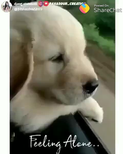 @Lakshmidevi