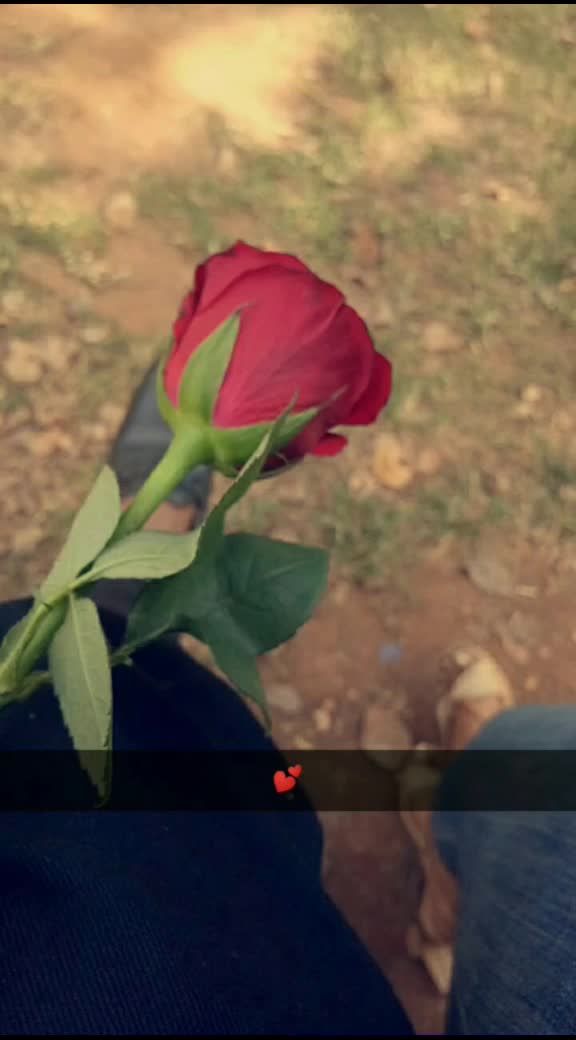 @sameer telange