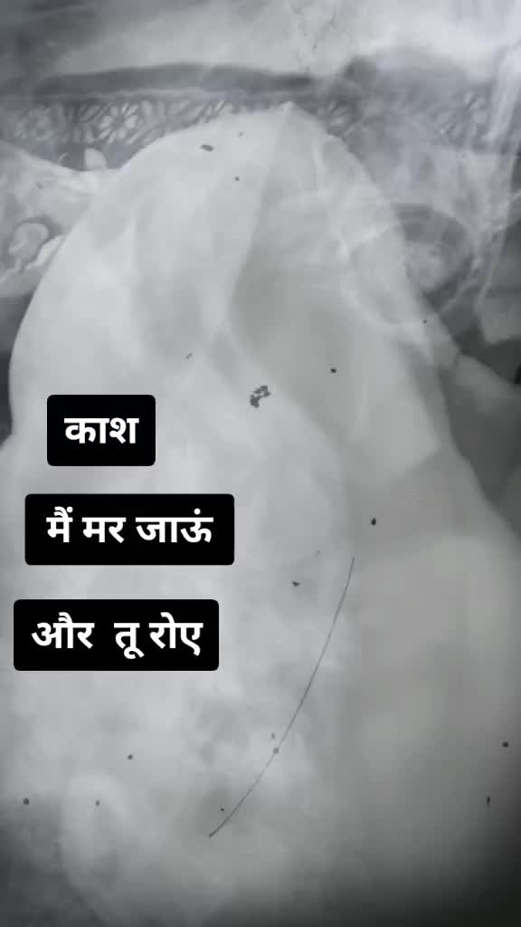 @user11871962345