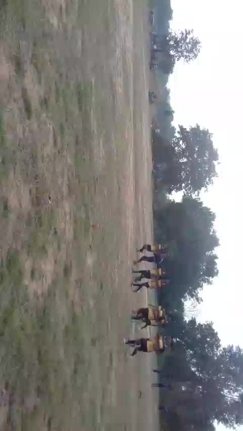 @SunilSahu3453