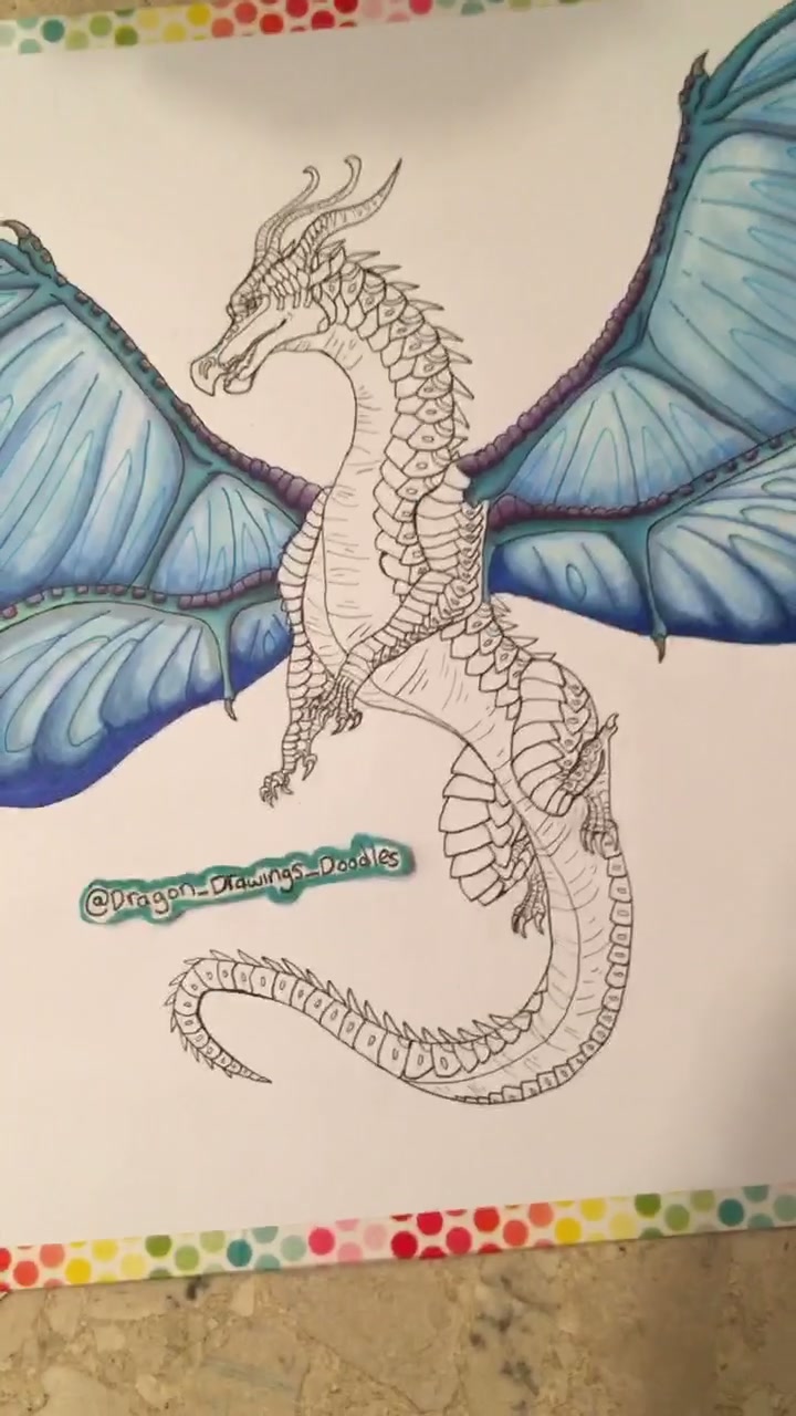 @💙Dragonart💙