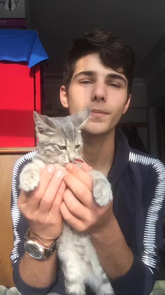 @Berat Gürel