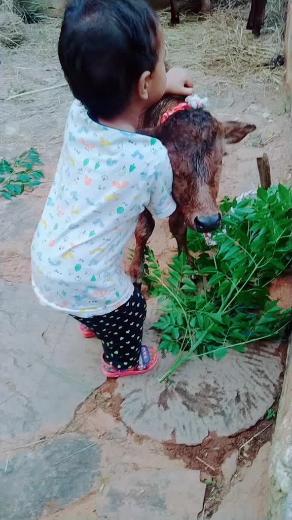 @Veer Negi