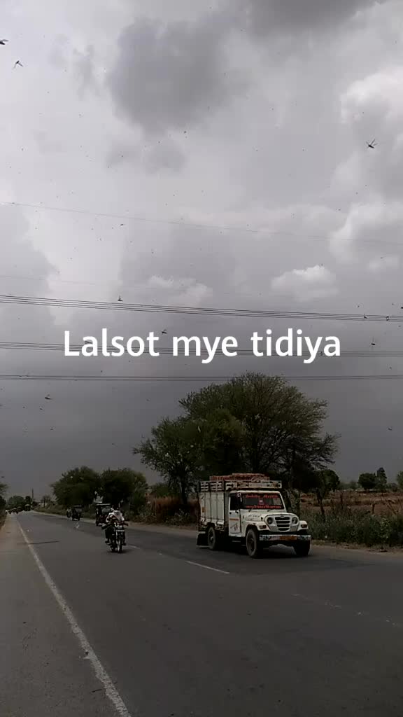 @akashmerothadhalod