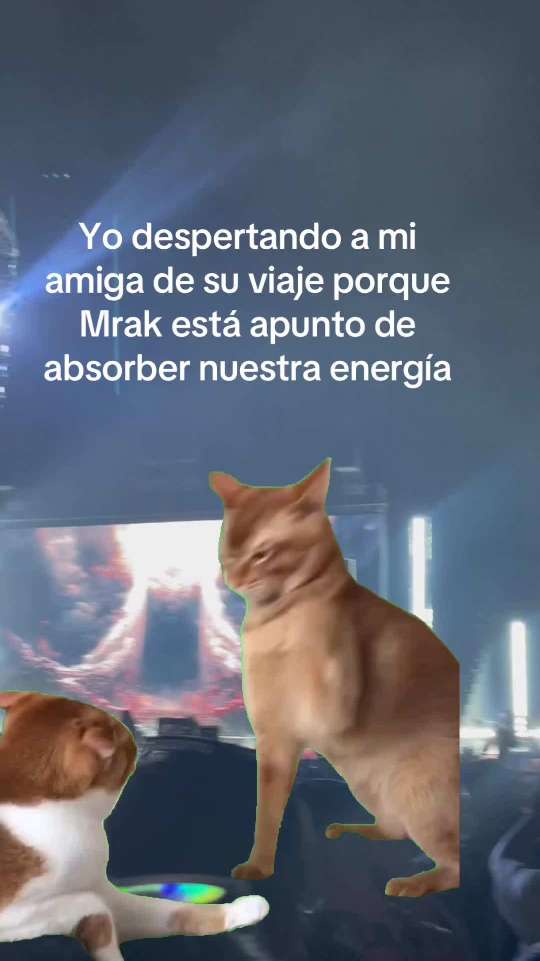 @Alexa Zamora