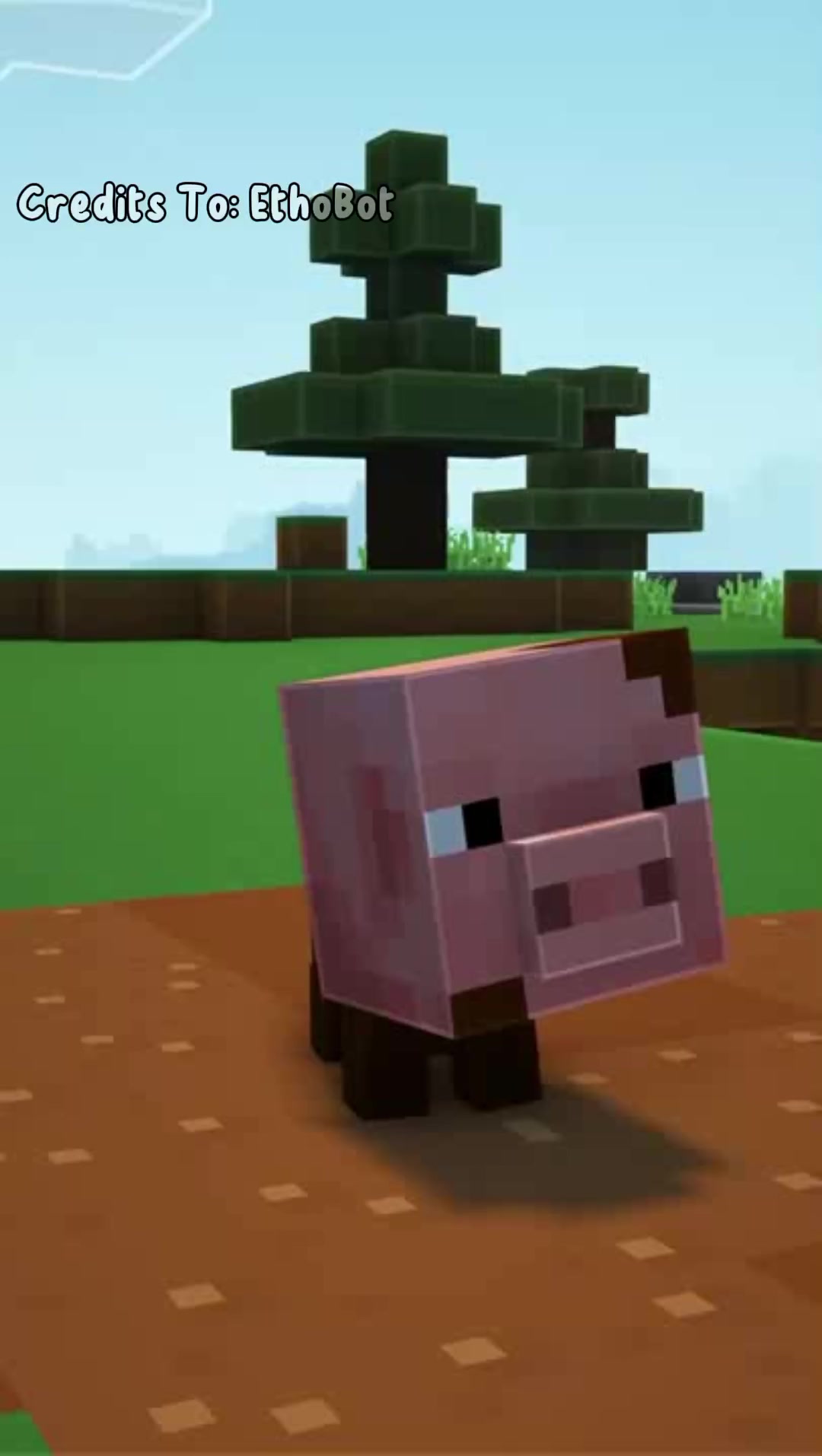 @▂▃▄▅▆▇█Porky Animations█▇▆▅▄