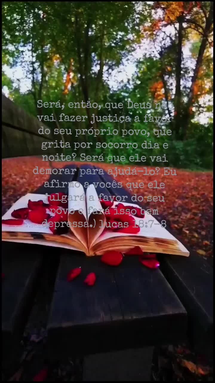 @👑@Justiça 💎🦅🌻