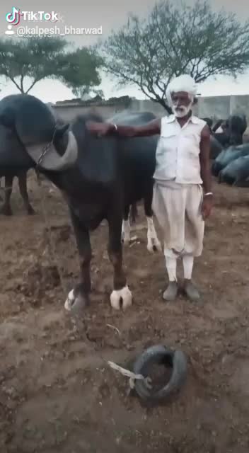 @D.K.ભુવા
