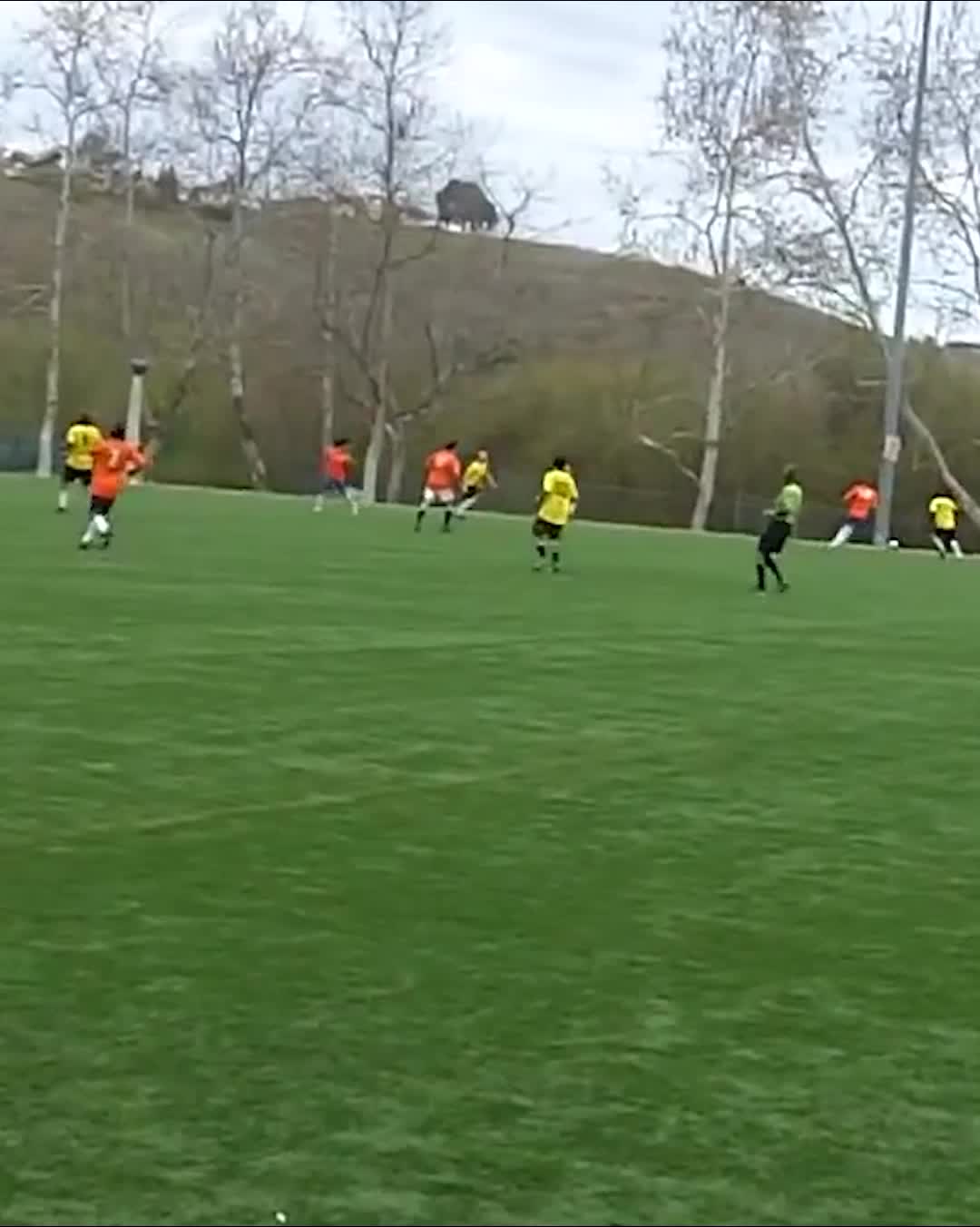 @OC LIONS FC
