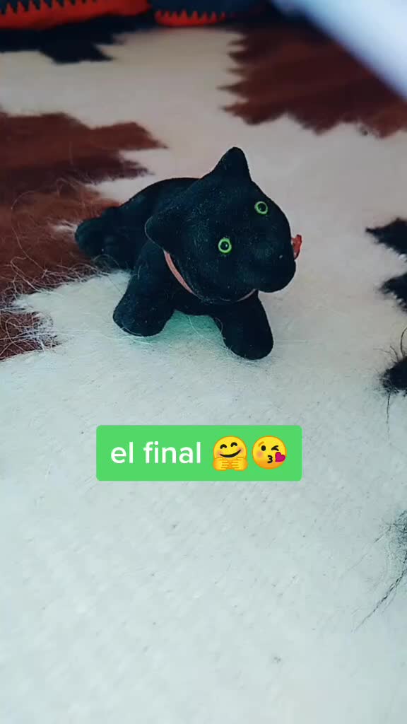 @Negri Took