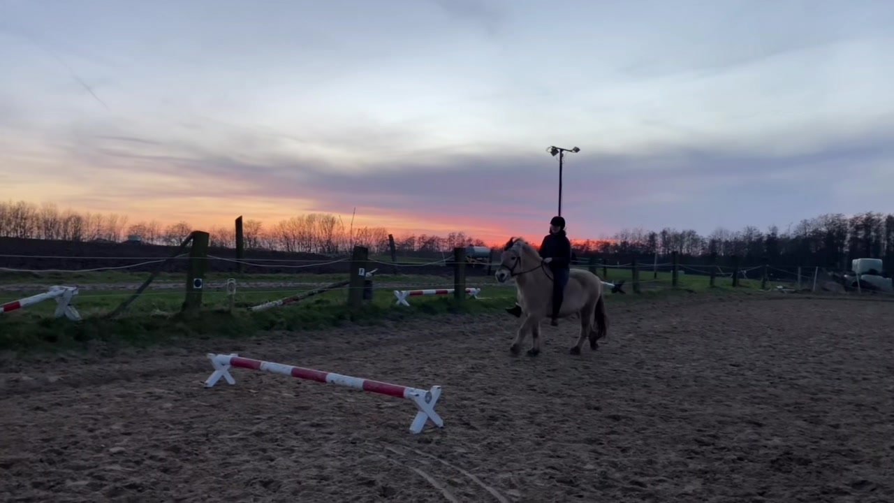 @Caro & Balou☀️