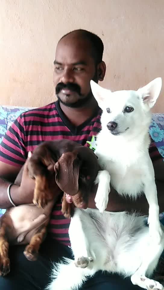 @Siva Siva