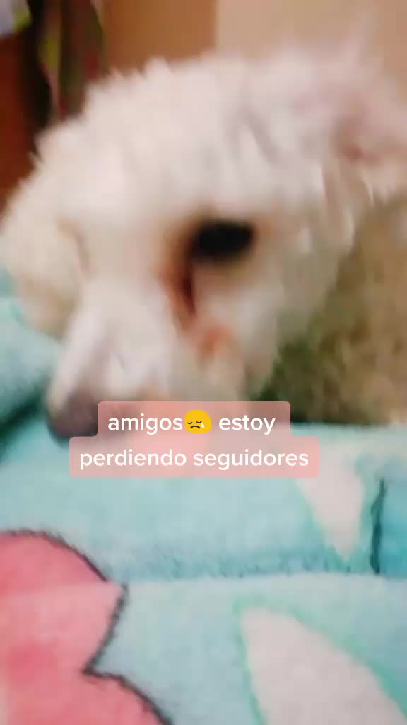 @Princesadulce&mdash;