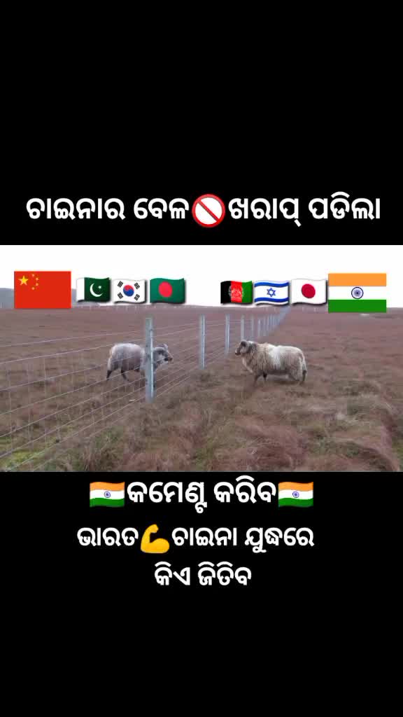 @TULU🇮🇳BHAI