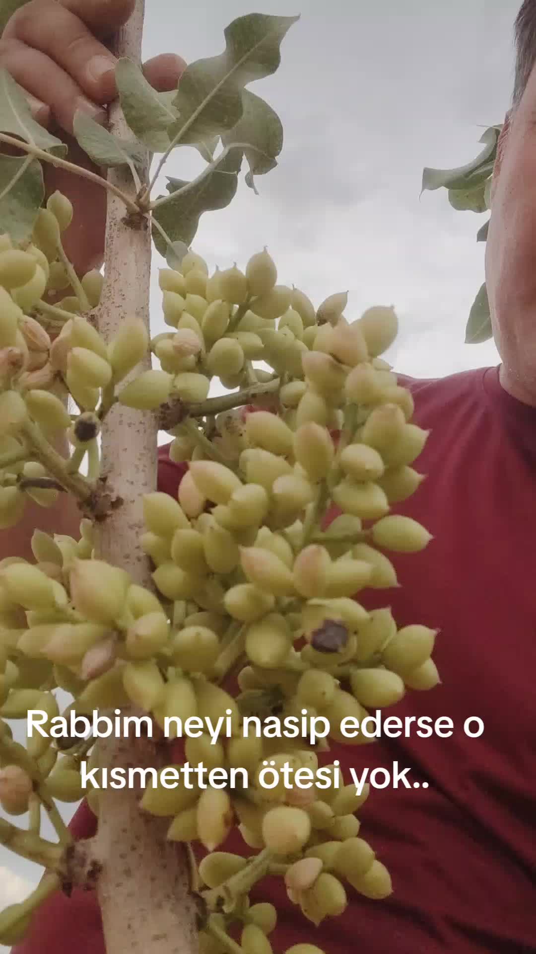 @Müslüm Kırmızıateş