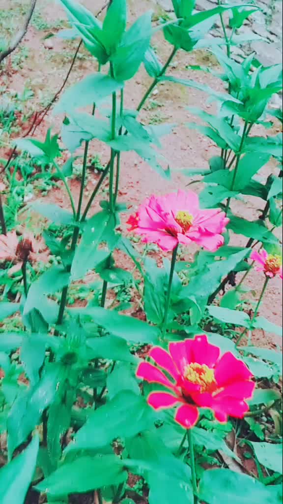 @user91491520972