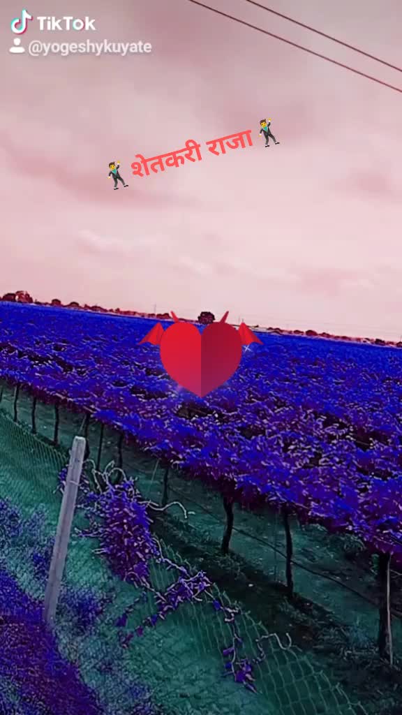 @योगेश कुयटे 91