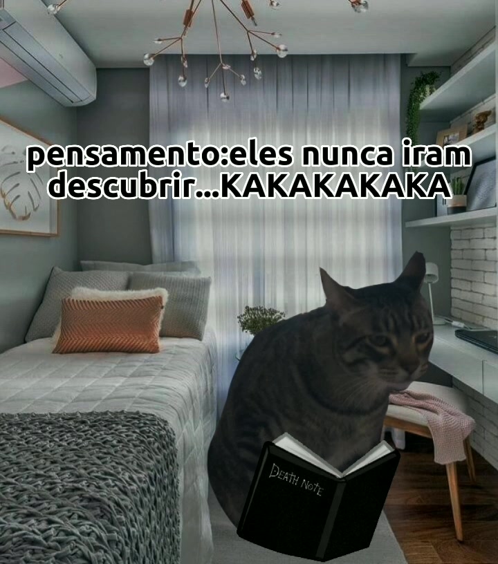 @Ozzy o gato