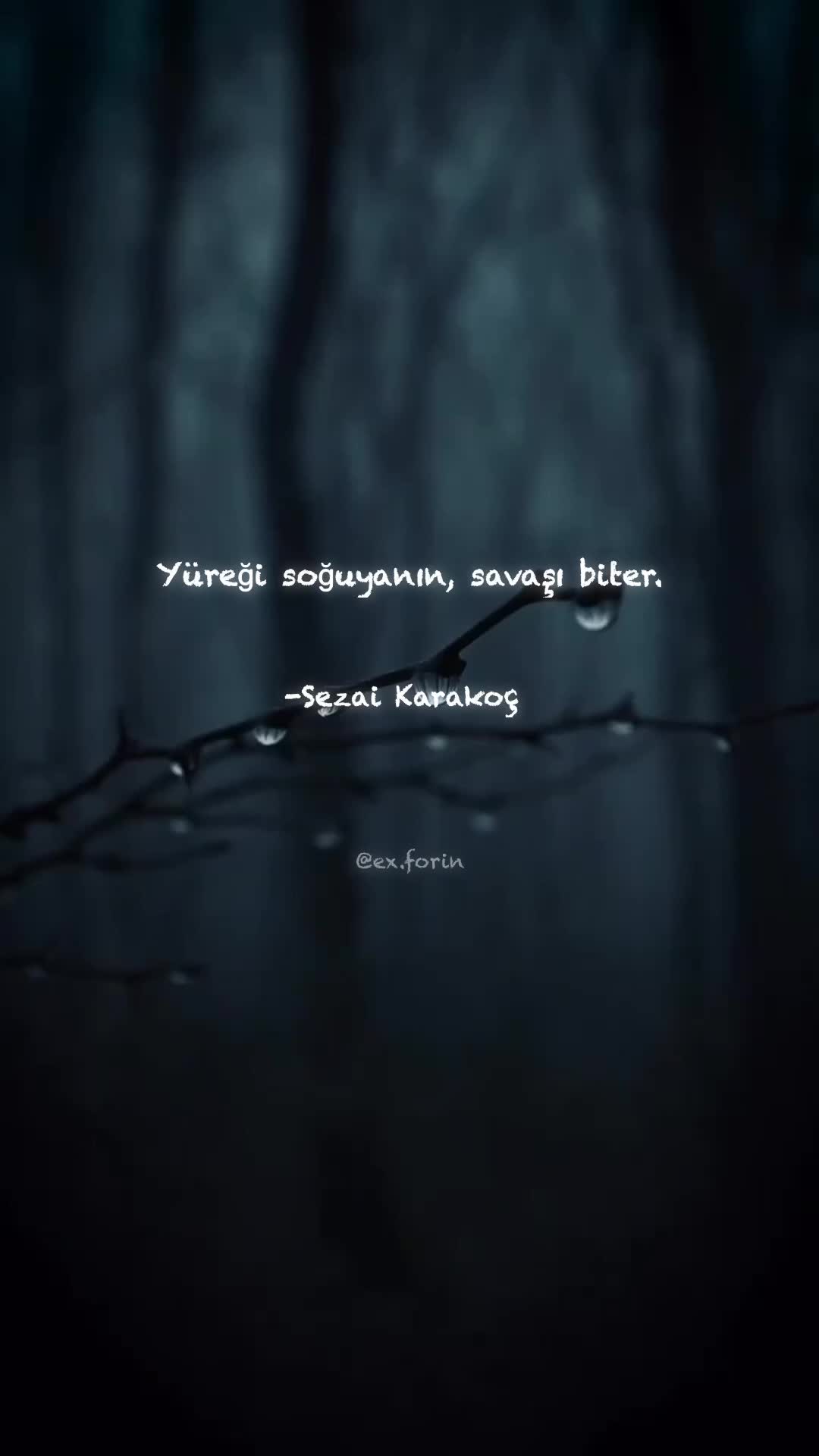@exforin